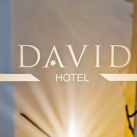 David An Der Donau 호텔