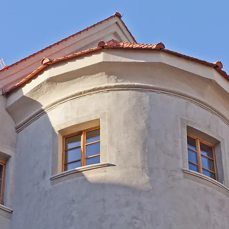 David An Der Donau Regensburg