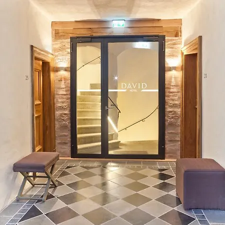 Отель David An Der Donau 4*