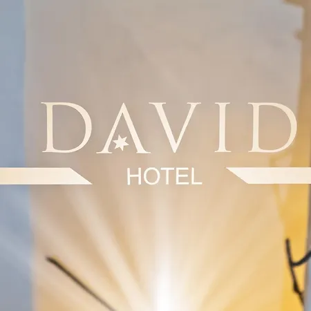 Hotel David An Der Donau