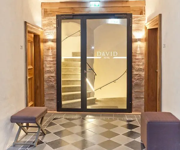 Hotel David An Der Donau 4*