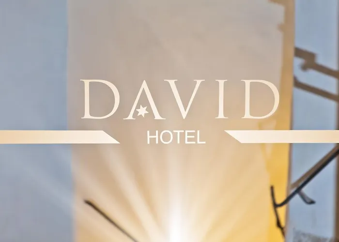 Hotel David An Der Donau